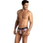 ANAIS MEN - COMICS BRIEF L