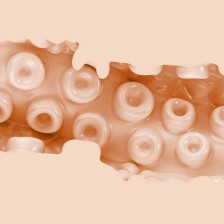 FLESHLIGHT FANTASIA - SASHA NAKAMOTO VAGINA