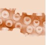 FLESHLIGHT FANTASY - SASHA NAKAMOTO VAGIN