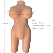 ARMONY - REALISTIC FEMALE TORSO MODEL 6