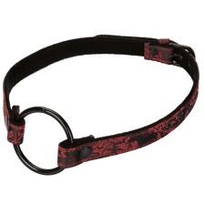 CALEXOTICS - SCANDAL...