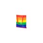 PRIDE - RAINBOW FLAG TOTE BAG