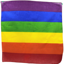 PRIDE - LGBT-SCHAL 50 X 51