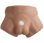 SILEXD - TORSE D'HOMME RÉALISTE D'APOLLON CARAMEL