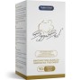 MEDICA GROUP - BUSTO MAIOR FIRMANTE 90 CÁPSULAS