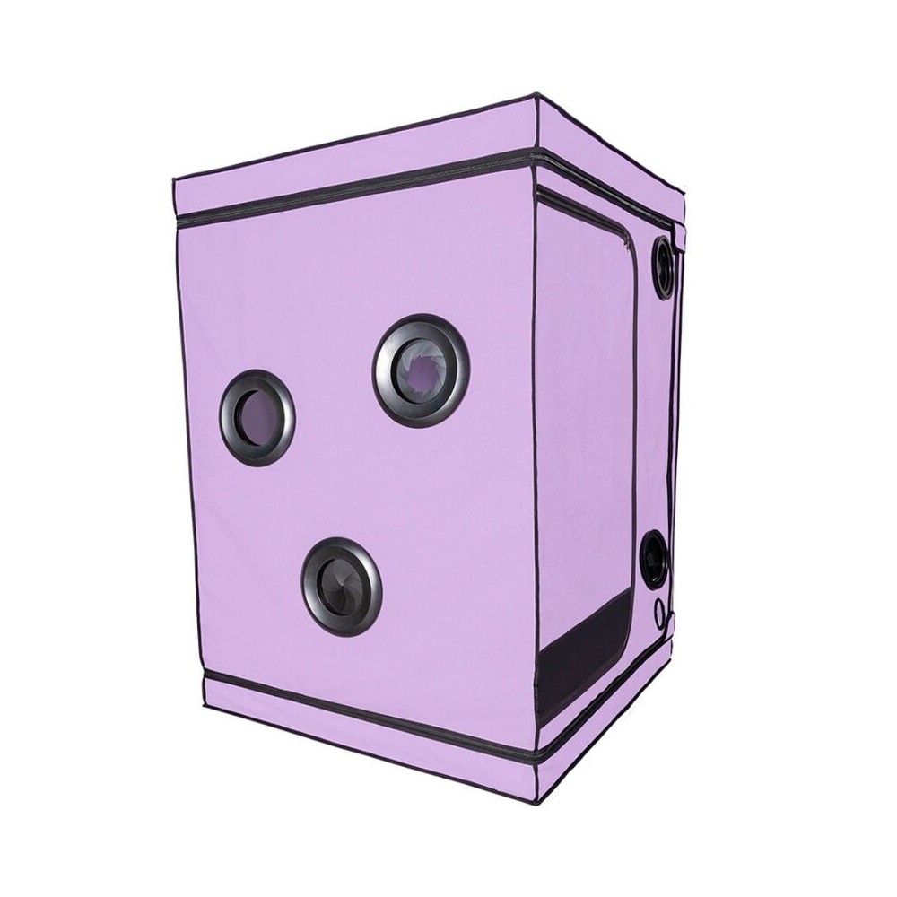 SECRET DOME - ESCÂNDALO ROXO DO CLUBE KINK