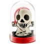 CONDOMERIE - PRÉSERVATIFS FANTAISIE PEINTS À LA MAIN PIRATE