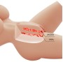 CRAZY BULL - LILY TORSO FEMMINILE REALISTICO VAGINA E ANALE 4 KG
