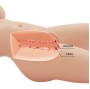 CRAZY BULL - TORSE FÉMININ RÉALISTE TIFFANY VAGIN ET ANAL 5,5 KG