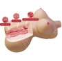 CRAZY BULL - DIANA TORSO FEMMINILE REALISTICO VAGINA E ANALE 5 KG