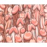 DIABLO PICANTE - TAPIS DE SOURIS COULEUR AVEC DESSIN DE PÉNIS