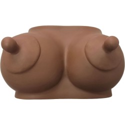 DIABLO PICANTE - PIGGY BANK...