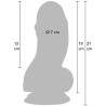 HIDDEN DESIRE - INFERNO DILDO FAT BOYS 19 CM