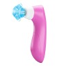 ROMANCE - APPAREIL DE SUCCION CLITORIALE AVEC TECHNOLOGIE DE PULSATION ROSE