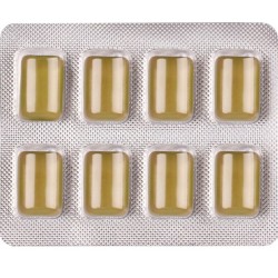 WUG DIET - Chewing-gum fonctionnel sans sucre à la menthe, plaquette thermoformée de 8 pièces