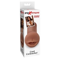 PDX EXTREME - MASTURBATORE SUCCHIATORE DI CAZZI UNIVERSITARIO