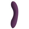 PRETTY LOVE - LLOYDE RECHARGEABLE VIBRATOR 10 FUNCTIONS PURPLE