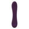 PRETTY LOVE - ALEXISROSE RECHARGEABLE VIBRATOR 10 FUNCTIONS PURPLE