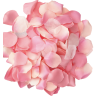 DIABLO PICANTE - 100 PINK PETALS