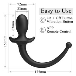 PRETTY LOVE – ANTHONY APP-STEUERUNG ANAL- UND PERINEUMVIBRATOR SCHWARZ