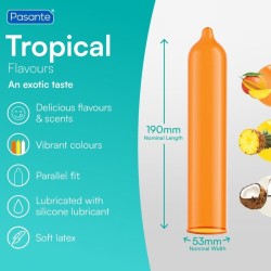 PASANTE - TROPICAL MANGO PINEAPPLE AND COCONUT FLAVOURED CONDOMS 53 MM 144 UNITS