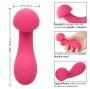 CALEXOTICS - PIXIES EXCITER ROSE