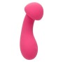 CALEXOTICS - PIXIES EXCITER ROSA